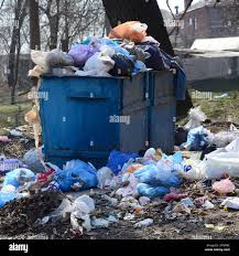 Professional Junk Removal Services in Edgewood, IN